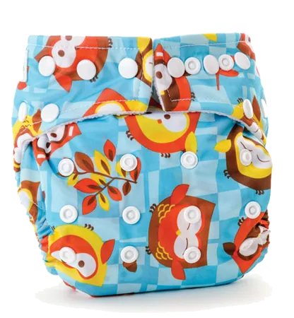 All-In-One Cloth Diaper