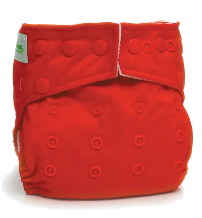 All-In-One Cloth Diaper