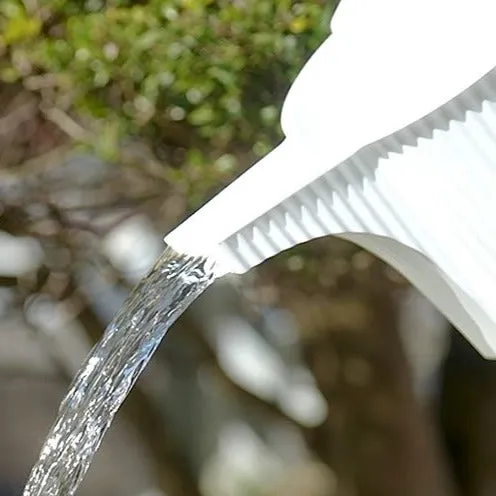 Garden Beetle Watering Can - White