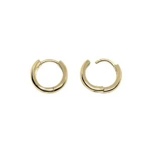 Small Hoops Earrings